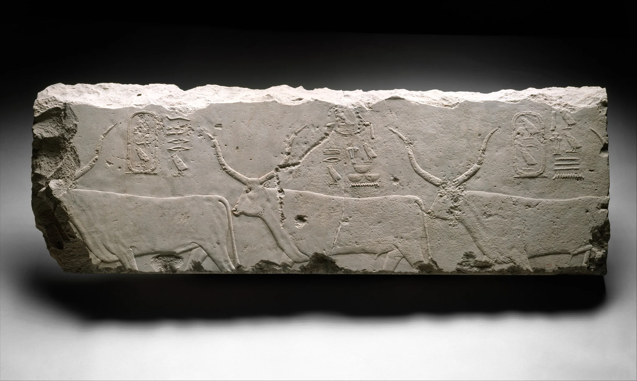 Ancient Egyptian limestone relief showing cattle linked with King Khufu, The Met accession 22.1.3a,b